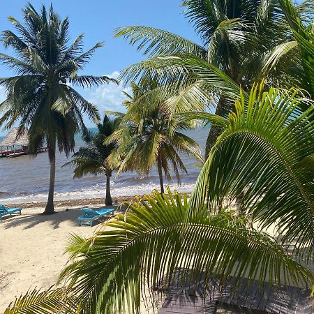 Tranquility Beach Suites Placencia Eksteriør billede