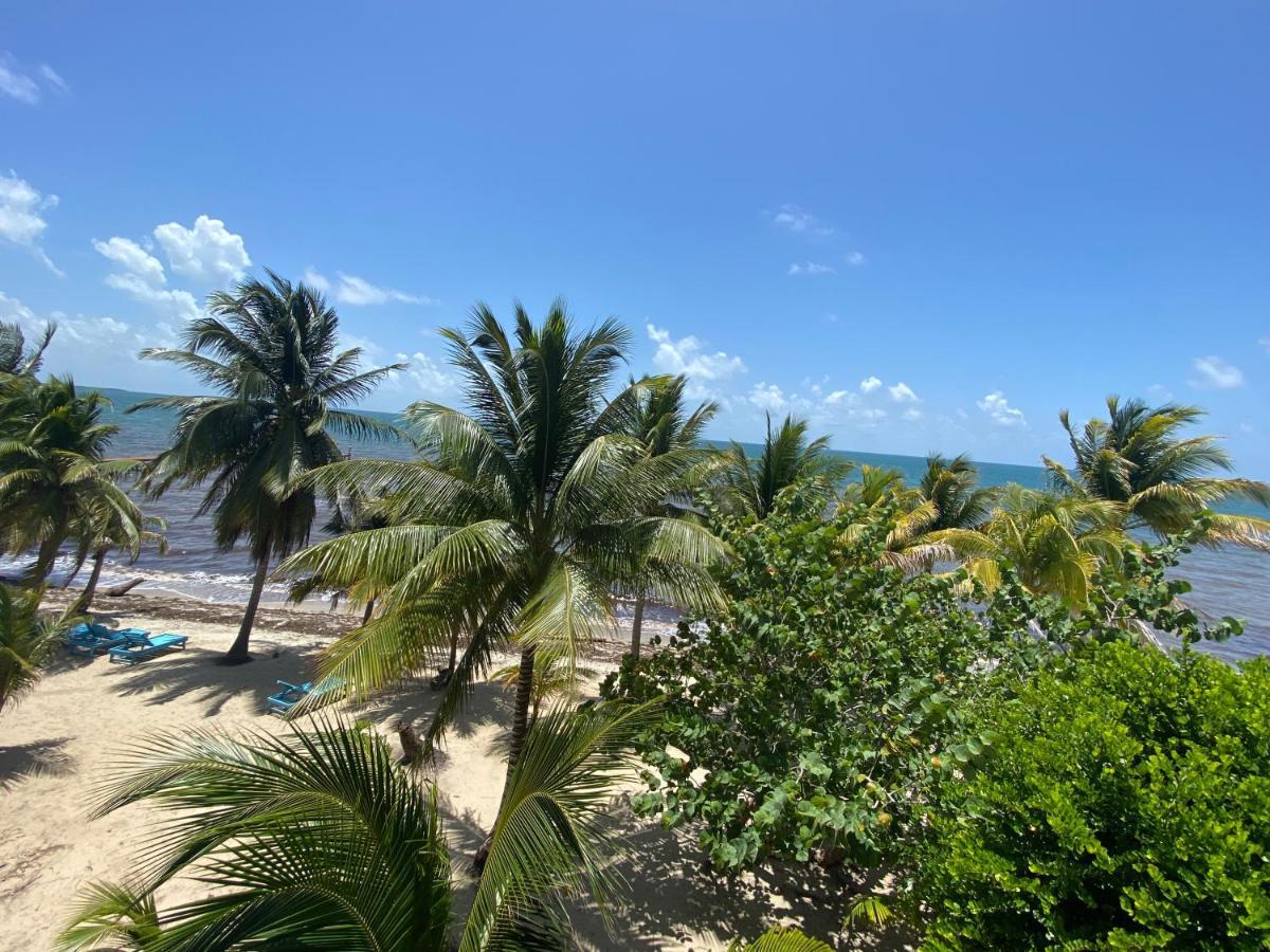 Tranquility Beach Suites Placencia Eksteriør billede